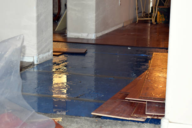 Professional Flood Cleanup technician working in Morrisville, NY